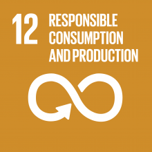 Development Goal - Responsible Consumption and Production