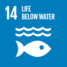 Development Goal - Life Below Water