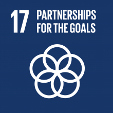 Development Goal - Partnerships for Goals