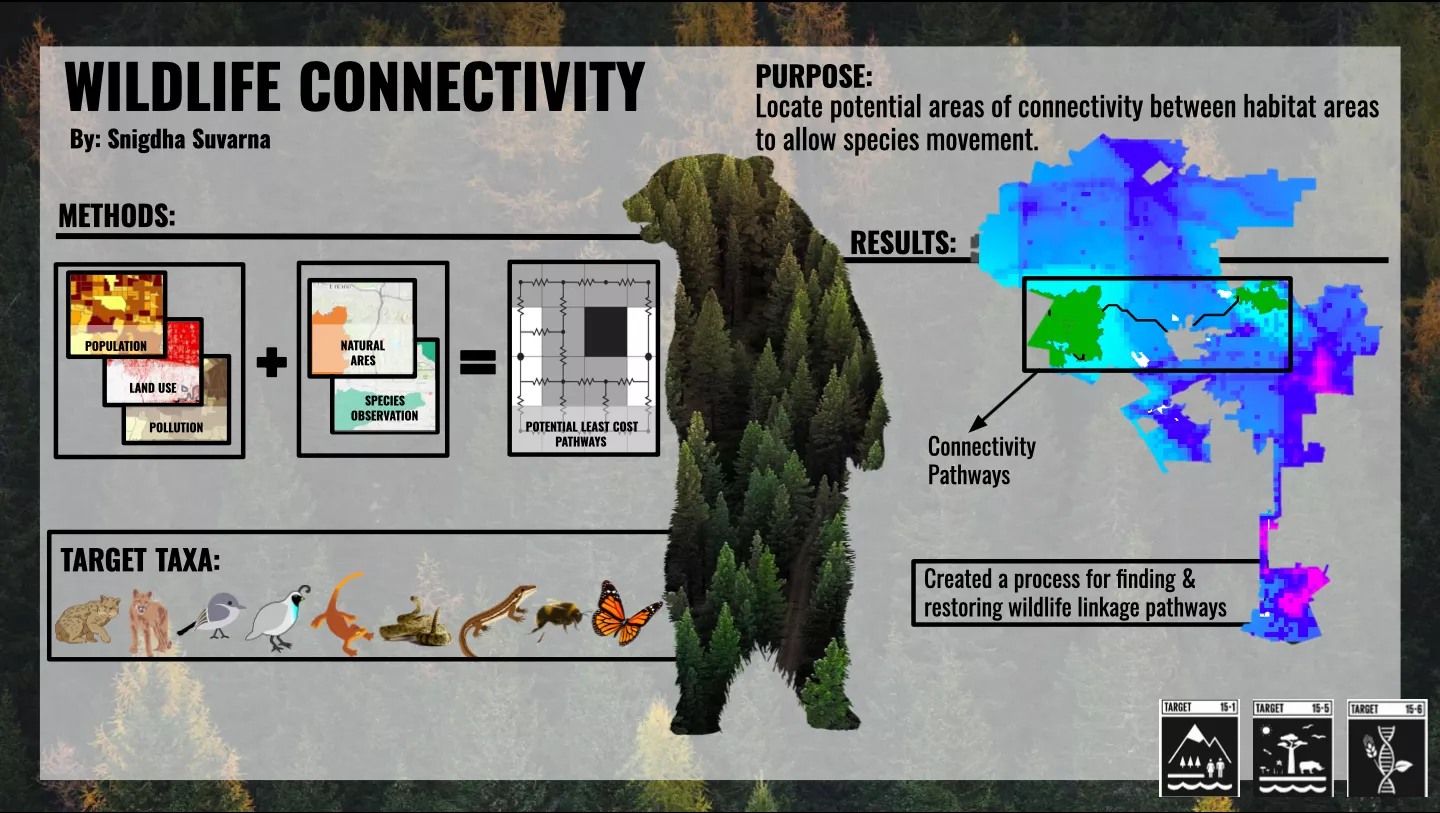 Wildlife Connectivity, Snigdha Survarna, Summer 2020