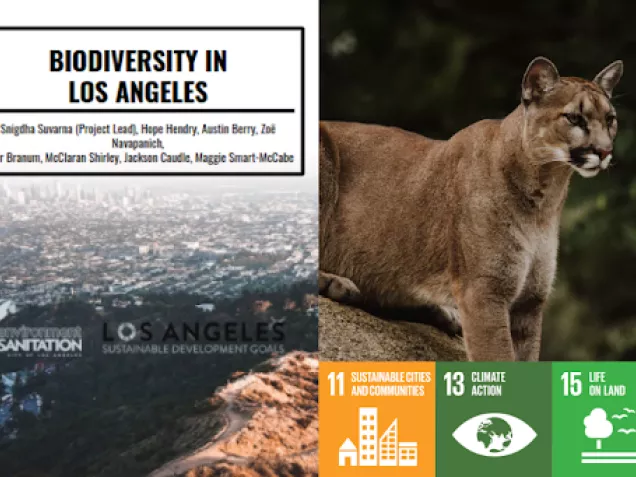Biodiversity in Los Angeles, Summer 2020